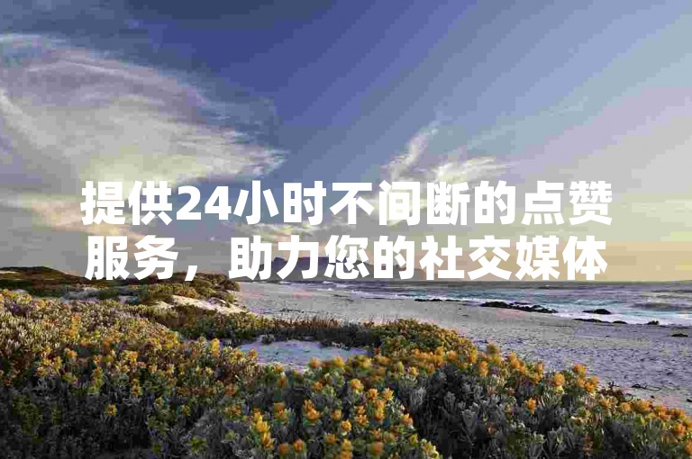 提供24小时不间断的点赞服务，助力您的社交媒体互动效果显著提升。