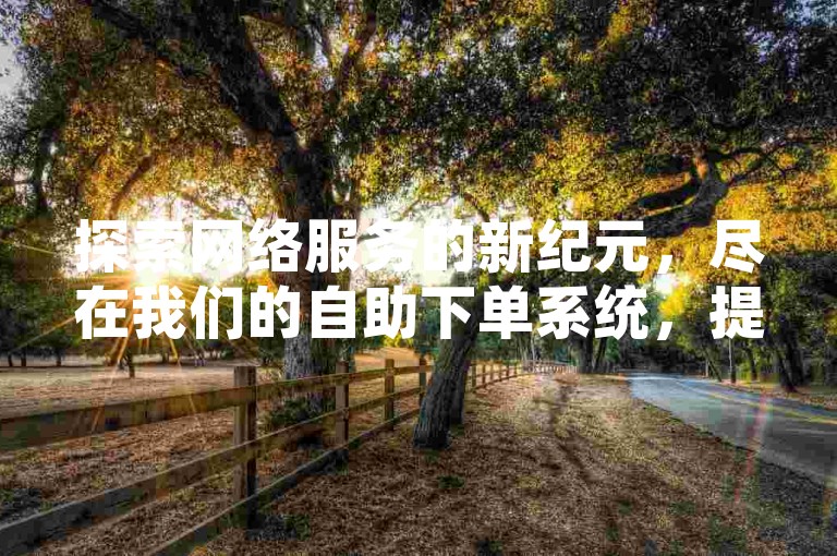 探索网络服务的新纪元，尽在我们的自助下单系统，提供无与伦比的低价与高效服务。