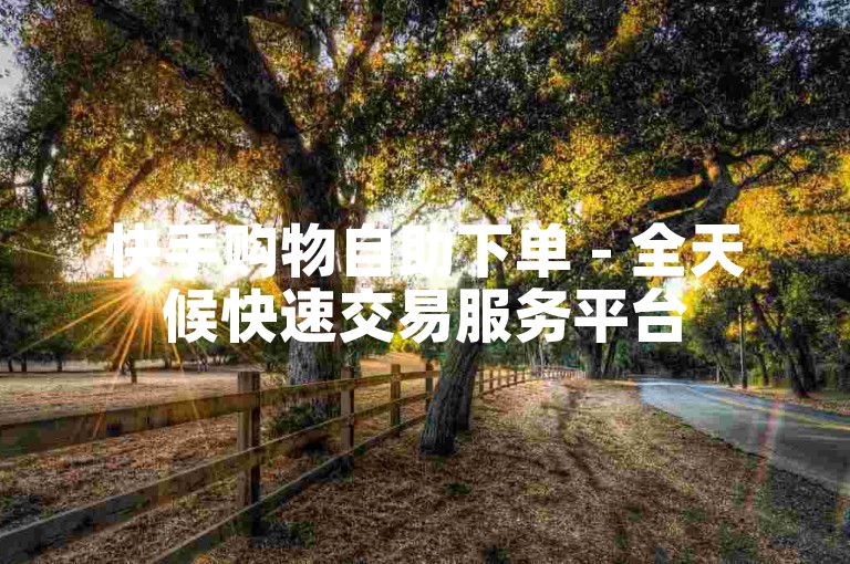 快手购物自助下单 - 全天候快速交易服务平台