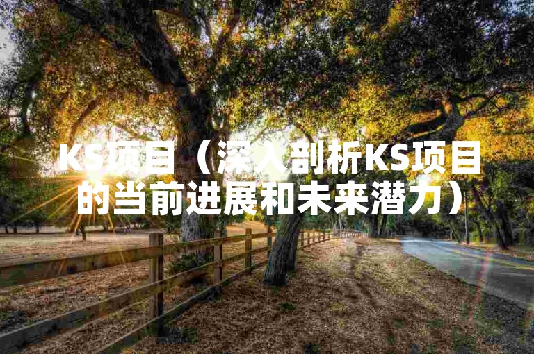 KS项目（深入剖析KS项目的当前进展和未来潜力）