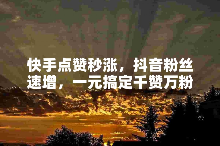 快手点赞秒涨，抖音粉丝速增，一元搞定千赞万粉，KS业务平台自助快捷。