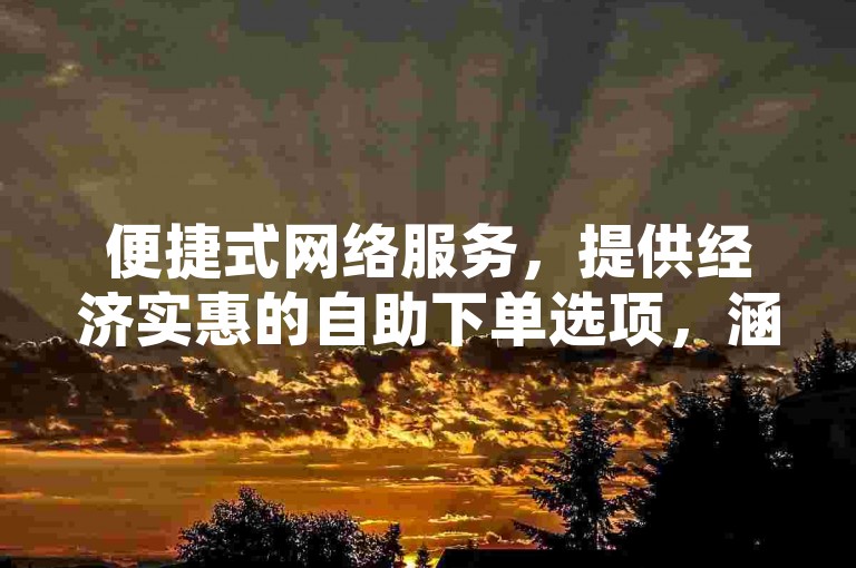 便捷式网络服务，提供经济实惠的自助下单选项，涵盖多种业务需求。