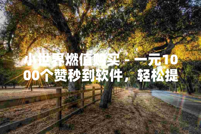小世界燃值购买 - 一元1000个赞秒到软件，轻松提升人气。