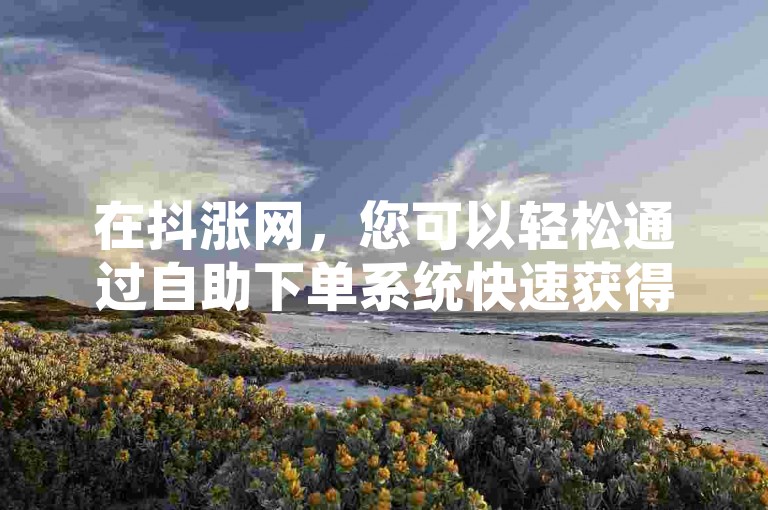 在抖涨网，您可以轻松通过自助下单系统快速获得KS平台的秒刷20次双击服务。