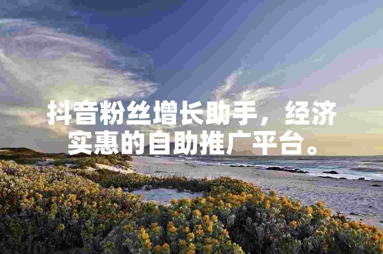 抖音粉丝增长助手，经济实惠的自助推广平台。