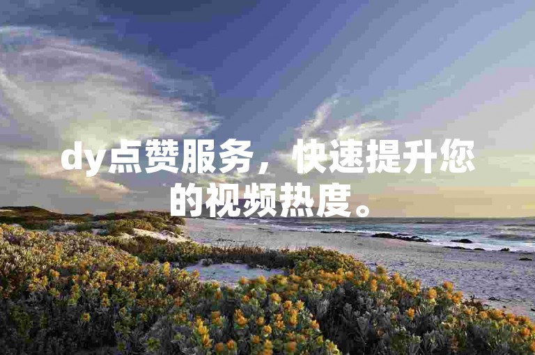 dy点赞服务，快速提升您的视频热度。