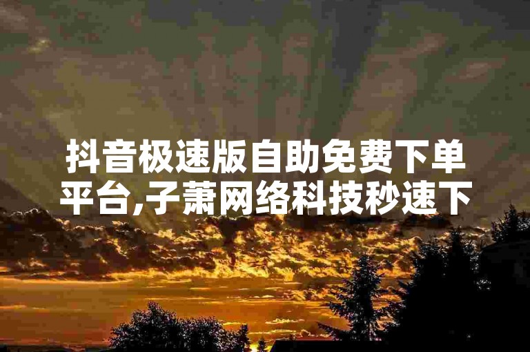 抖音极速版自助免费下单平台,子萧网络科技秒速下单