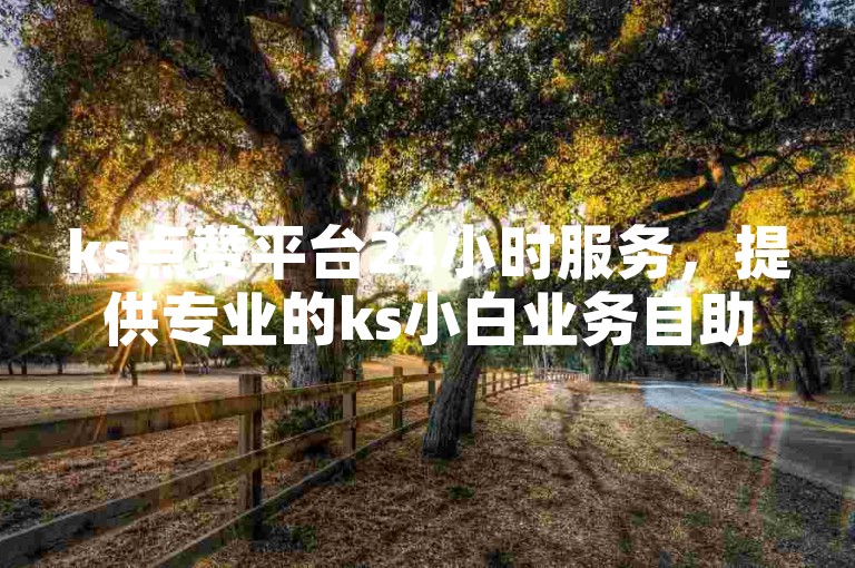 ks点赞平台24小时服务，提供专业的ks小白业务自助下单服务。