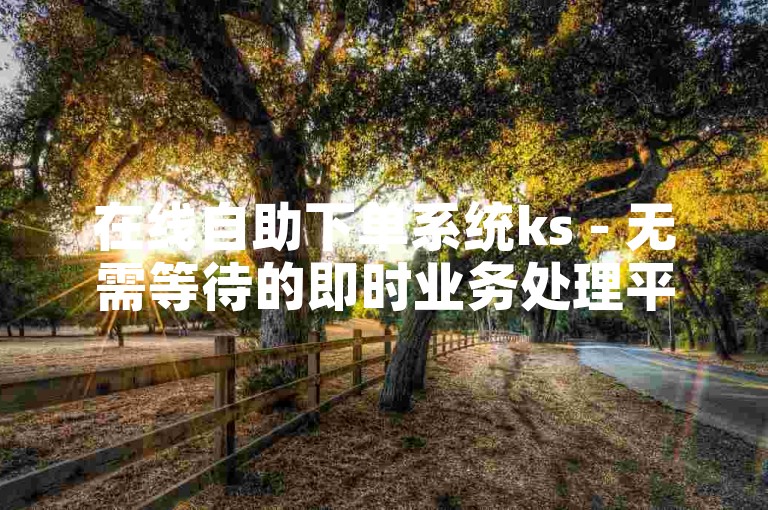 在线自助下单系统ks - 无需等待的即时业务处理平台ks