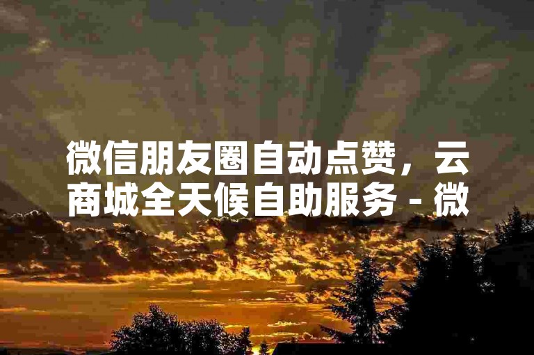微信朋友圈自动点赞，云商城全天候自助服务 - 微信运动刷步数 购买平台 - 抖音短视频极速版下载。
