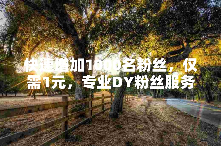 快速增加1000名粉丝，仅需1元，专业DY粉丝服务。