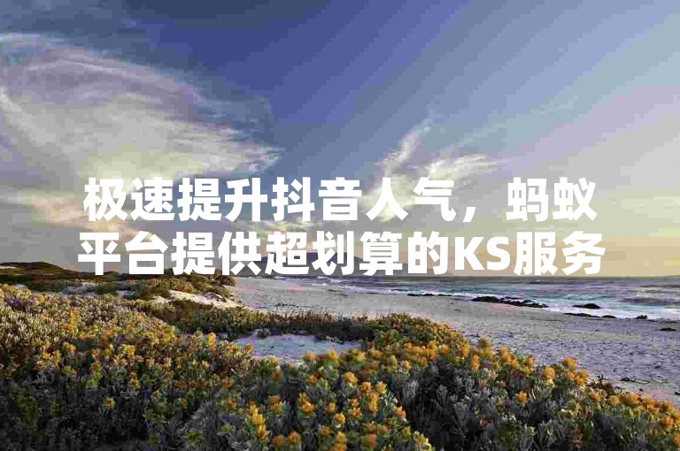 极速提升抖音人气，蚂蚁平台提供超划算的KS服务自助下单，粉丝瞬间增长。