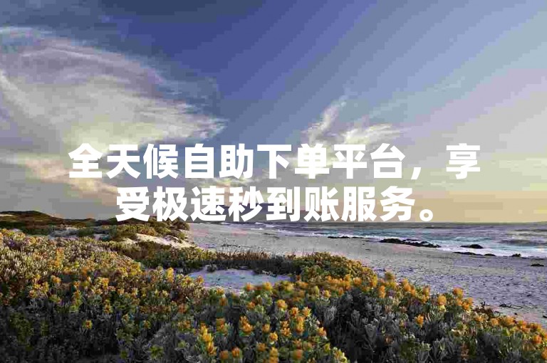 全天候自助下单平台，享受极速秒到账服务。