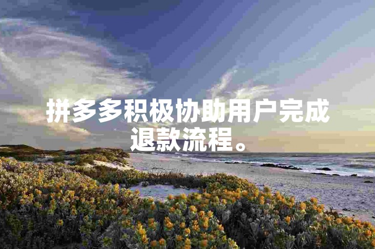 拼多多积极协助用户完成退款流程。