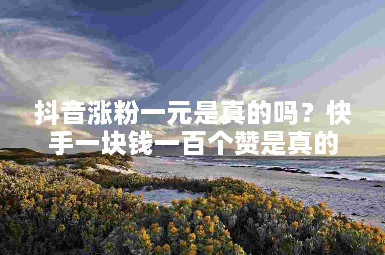 抖音涨粉一元是真的吗？快手一块钱一百个赞是真的吗？这些问题的答案可能会因人而异，因为每个人的经验和观点都不同。