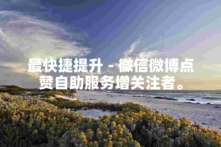 最快捷提升 - 微信微博点赞自助服务增关注者。