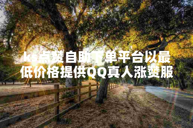 ks点赞自助下单平台以最低价格提供QQ真人涨赞服务。