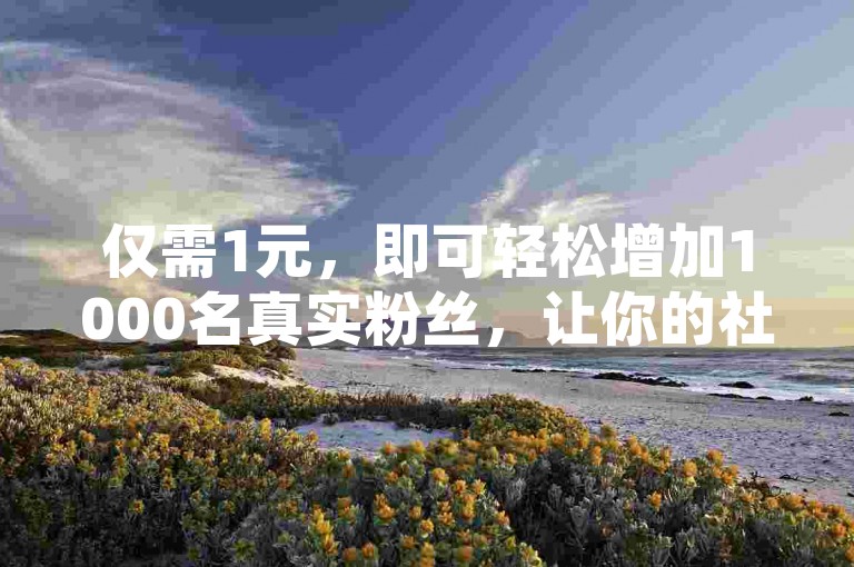 仅需1元，即可轻松增加1000名真实粉丝，让你的社交媒体影响力瞬间飙升。