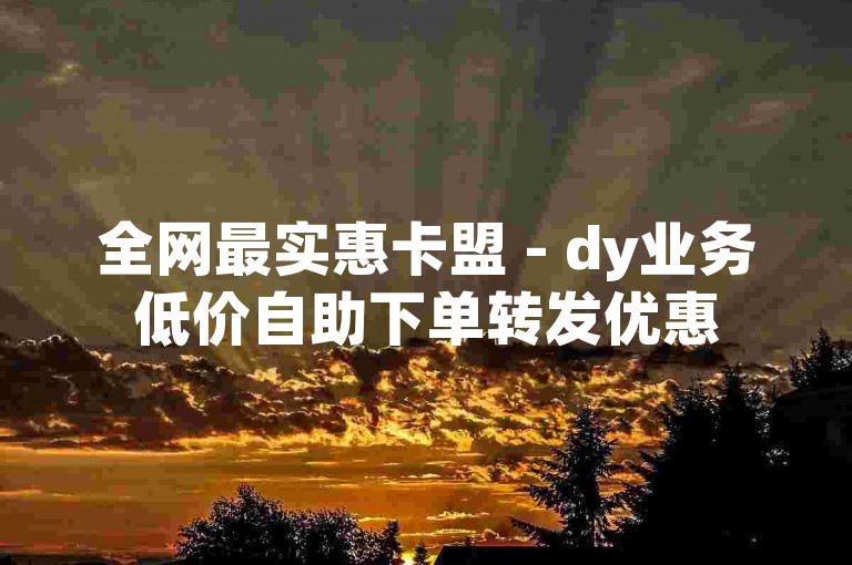 全网最实惠卡盟 - dy业务低价自助下单转发优惠