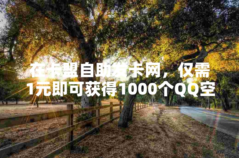 在卡盟自助发卡网，仅需1元即可获得1000个QQ空间访客量或王者点赞，方便快捷的下单平台等你来体验。