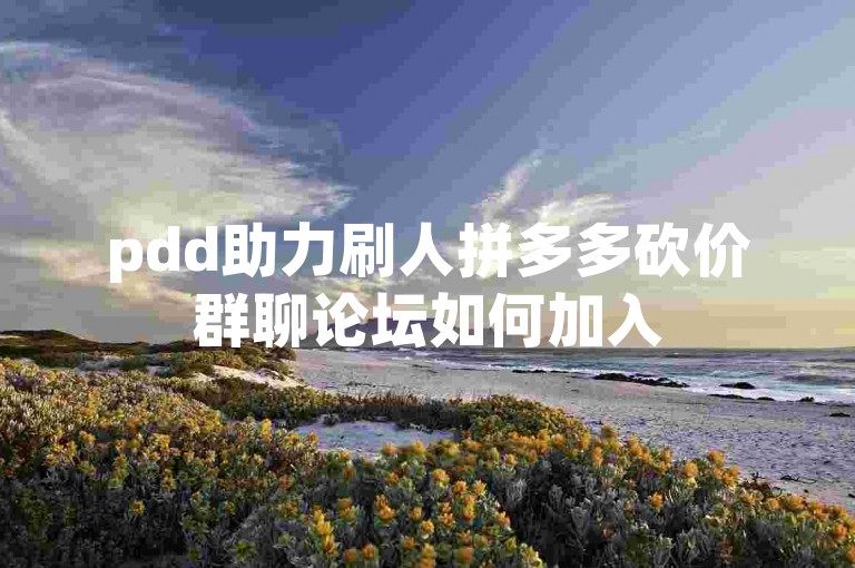 pdd助力刷人拼多多砍价群聊论坛如何加入