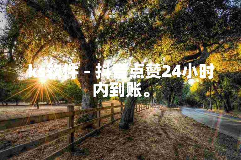 ks软件 - 抖音点赞24小时内到账。