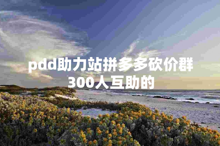 pdd助力站拼多多砍价群300人互助的