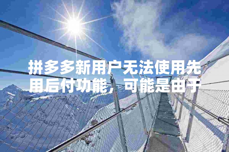 拼多多新用户无法使用先用后付功能，可能是由于系统限制或账户安全因素。