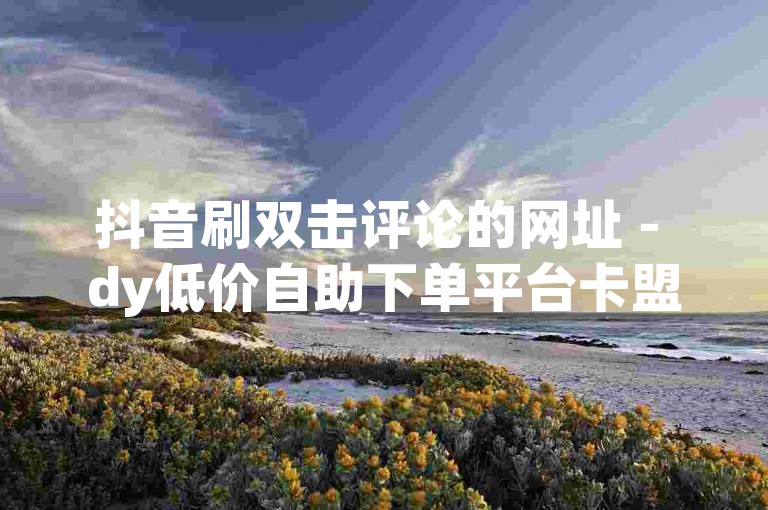 抖音刷双击评论的网址 - dy低价自助下单平台卡盟，提供快速、安全的点赞服务。