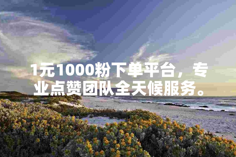 1元1000粉下单平台，专业点赞团队全天候服务。