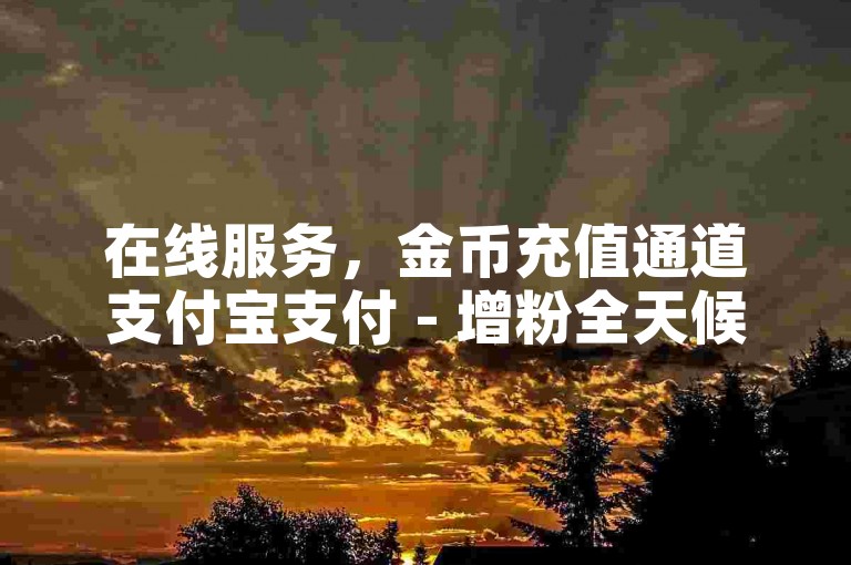 在线服务，金币充值通道支付宝支付 - 增粉全天候接单 - 速币充值即时到账 75折优惠。