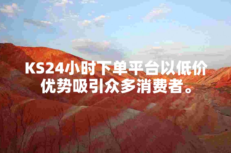 KS24小时下单平台以低价优势吸引众多消费者。
