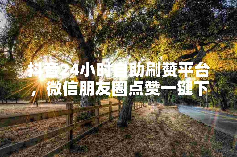 抖音24小时自助刷赞平台，微信朋友圈点赞一键下单平台。