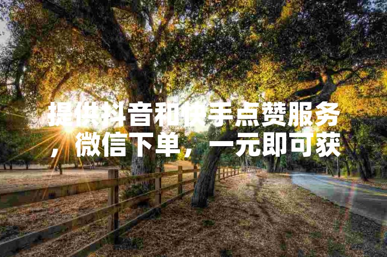 提供抖音和快手点赞服务，微信下单，一元即可获得100个双击赞。