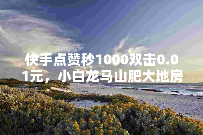 快手点赞秒1000双击0.01元，小白龙马山肥大地房产装修，卡盟qq业务 - ks买站一块钱100个 - 快手1元100粉丝活粉的方法。