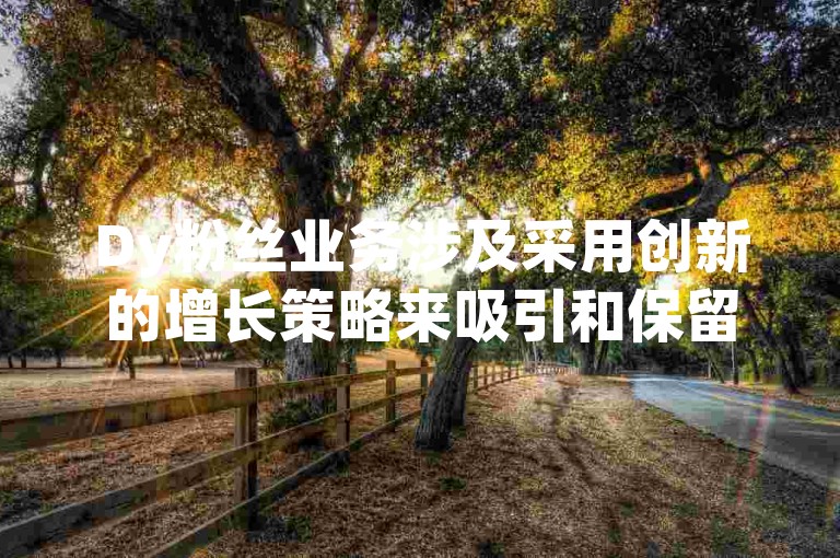 Dy粉丝业务涉及采用创新的增长策略来吸引和保留更多的关注者。