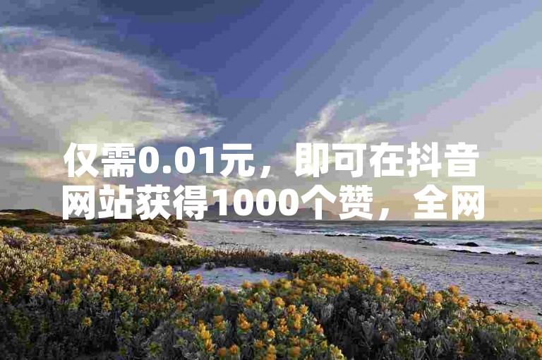 仅需0.01元，即可在抖音网站获得1000个赞，全网最低价，助你轻松成为热门。