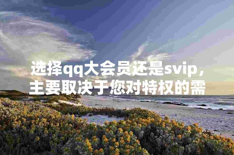 选择qq大会员还是svip，主要取决于您对特权的需求和预算。