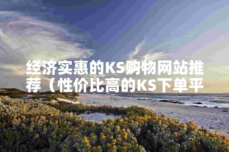 经济实惠的KS购物网站推荐（性价比高的KS下单平台）