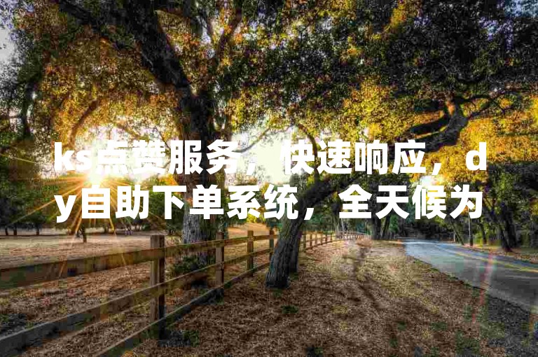 ks点赞服务，快速响应，dy自助下单系统，全天候为您服务。