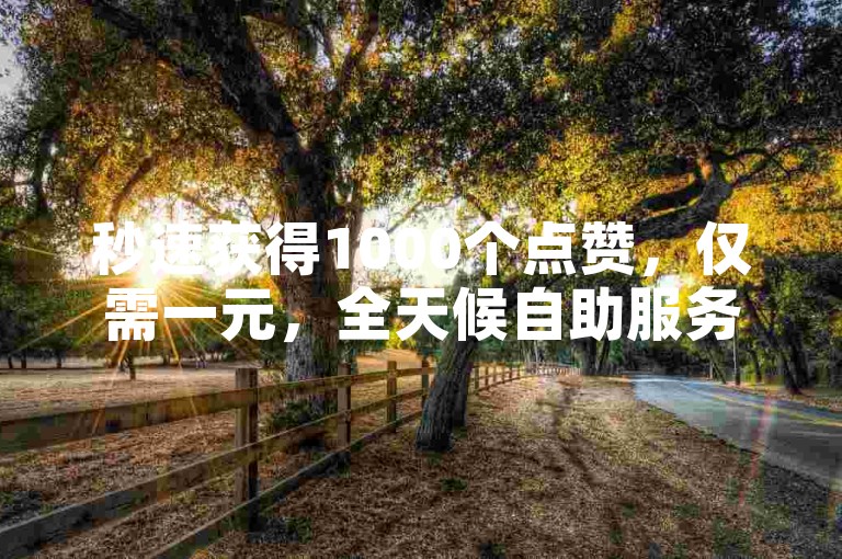 秒速获得1000个点赞，仅需一元，全天候自助服务商城等你来体验。