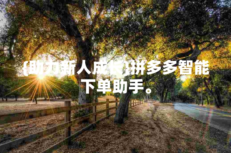 {助力新人成长}拼多多智能下单助手。