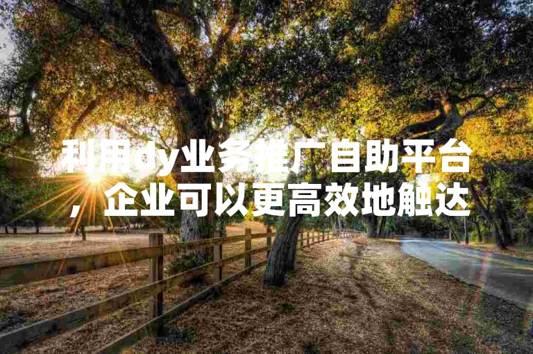 利用dy业务推广自助平台，企业可以更高效地触达目标客户群体。