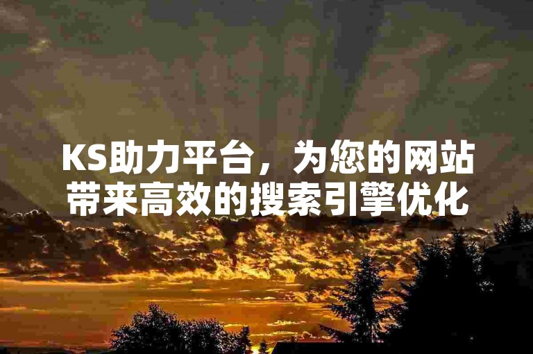 KS助力平台，为您的网站带来高效的搜索引擎优化解决方案。