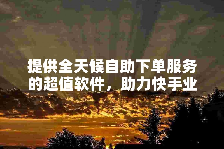 提供全天候自助下单服务的超值软件，助力快手业务高效增长。