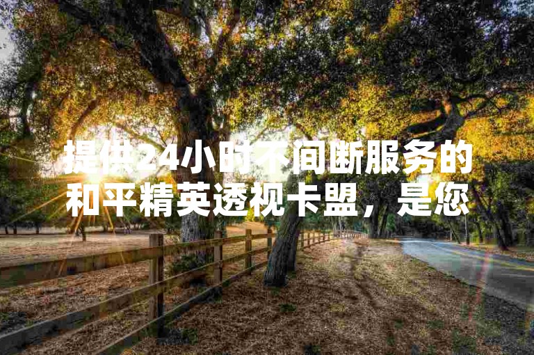 提供24小时不间断服务的和平精英透视卡盟，是您享受游戏优势的首选平台，立即体验低价快速下单的便捷。