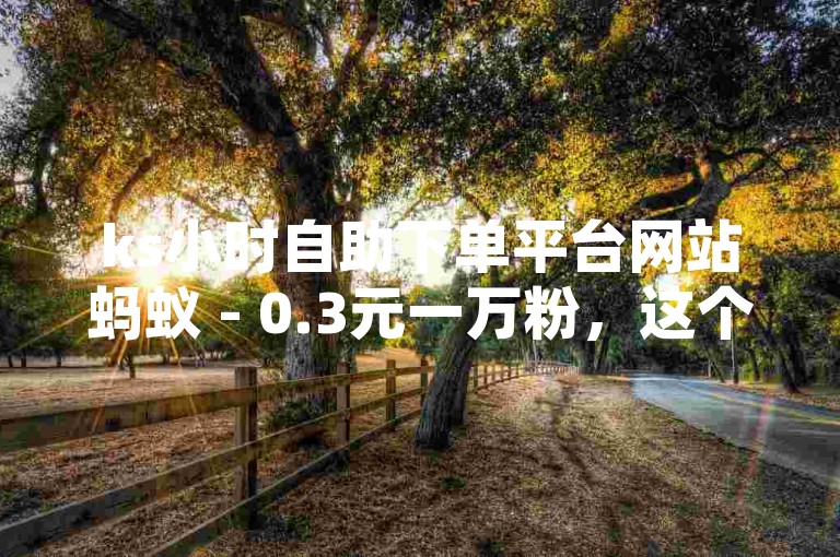 ks小时自助下单平台网站蚂蚁 - 0.3元一万粉，这个句子描述了某个自助下单平台的价格和服务内容。