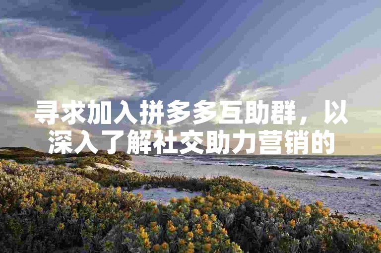 寻求加入拼多多互助群，以深入了解社交助力营销的潜力。