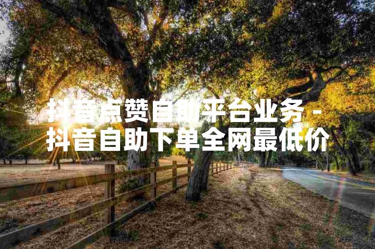 抖音点赞自助平台业务 - 抖音自助下单全网最低价
