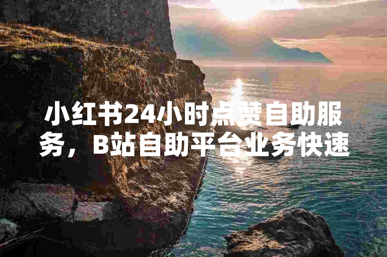 小红书24小时点赞自助服务，B站自助平台业务快速下单。